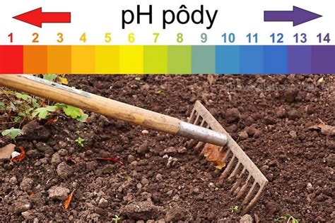 Infografika o úprave pH pôdy