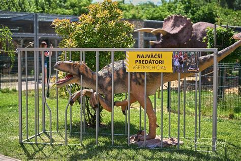 zvieratá v Malkia Parku