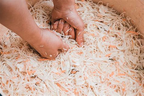 Proces utláčania kapusty v súdku