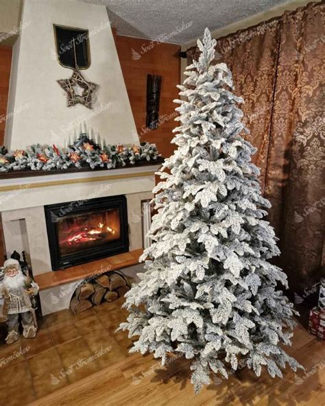 Ilustrácia správneho porciovania jedla