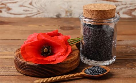 mak a jeho skladovanie