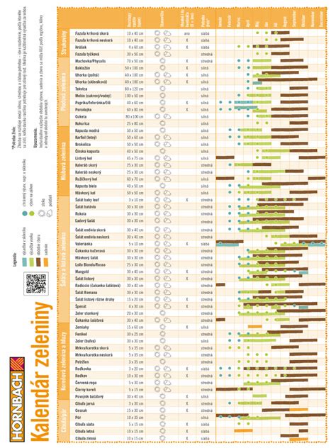 Schéma pestovania šampiňónov