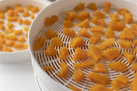 Profesionálna šalátová sušička v prevádzke