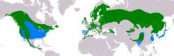 Mapa rozšírenia krivonosa smrekového