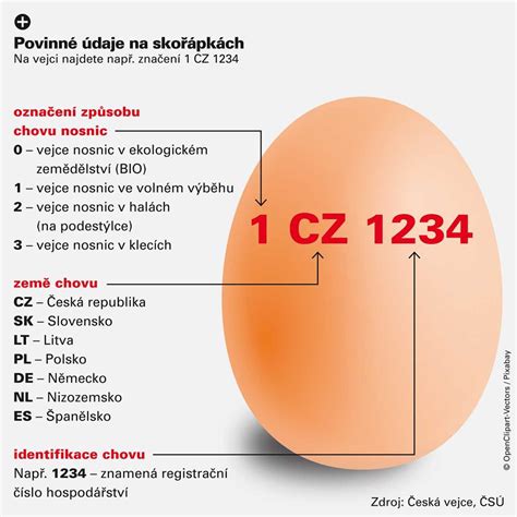 Ilustrácia vodného testu vajec