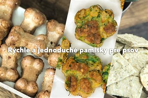 Domáce psie maškrty s medom
