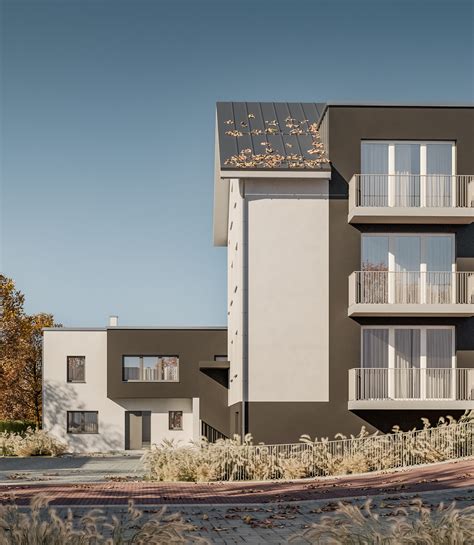 Vizualizácia zberu šampiňónov