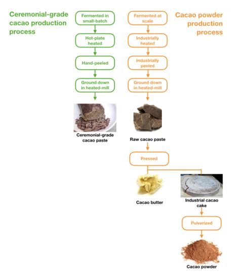 Schéma procesu spracovania kakaových bôbov