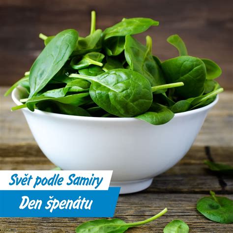 Zloženie špenátu