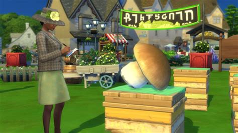 Sims 4 Život na venkově - Trh ve Finchwicku