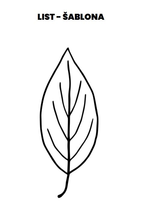 Detailná schéma zrolovania kapustného listu s plnkou