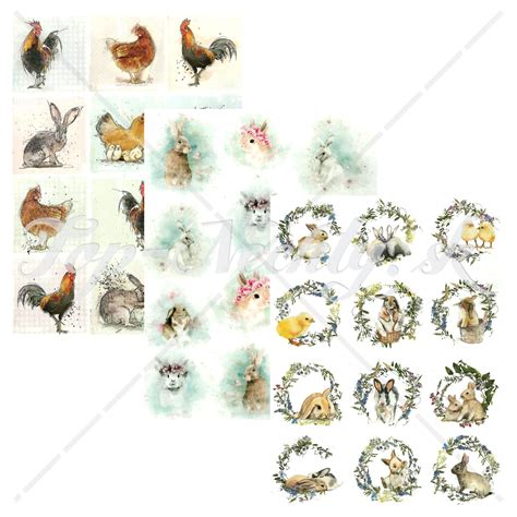 Ukážka rôznych druhov tort s motívom zvierat