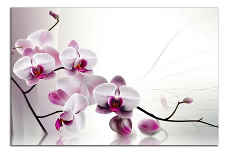 kvety vanilky na orchidei
