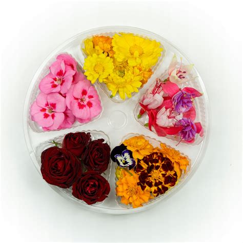 Ukážka rôznych druhov ovocia vhodných na tortu