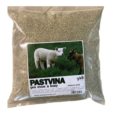 Ilustrácia rôznych druhov krmiva pre ovce v zime