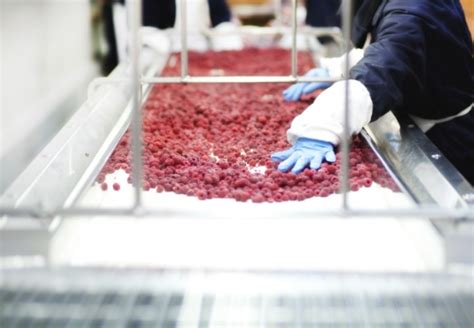 etická výroba potravín