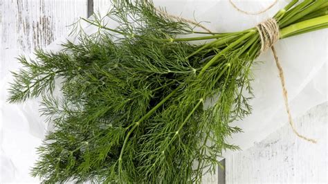 Čerstvá uhorka a kôpor pripravené na nátierku