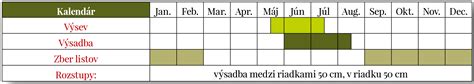 Schéma výsevu a výsadby kelu