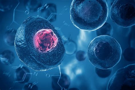 Kmeňové bunky zo švajčiarskeho jablka