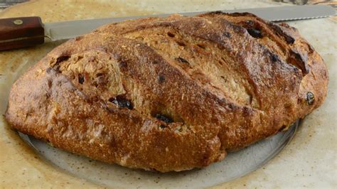 Ilustrácia plesnivého chleba a ovocia