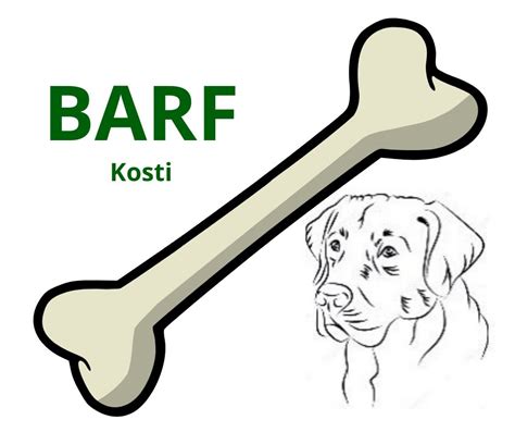 Ilustrácia psa žuvajúceho surové kosti