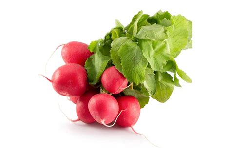 Červená reďkovka na záhrade