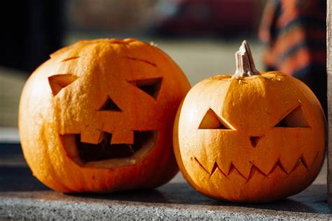 Ukážka rôznych štýlov vyrezávaných tekvíc: od klasických strašidelných tvárí po zvieracie motívy