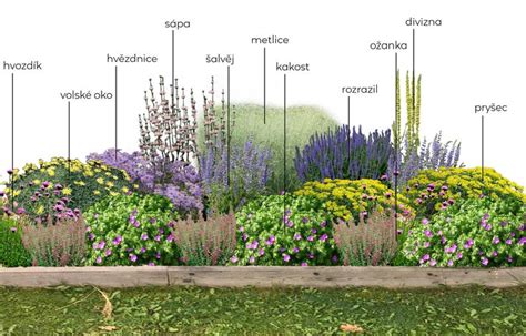 Schematické znázornenie výsadby tekvíc do riadkov a kopcov