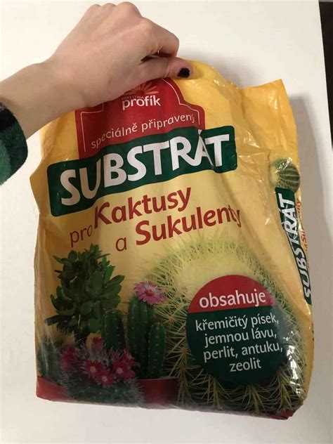 Hnojivo pre sukulenty