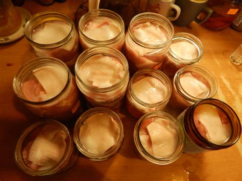 Ilustračné foto nakladaného hermelínu v pohári