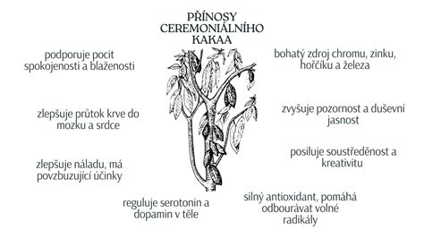 Ilustrácia procesu 