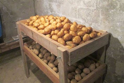 Skladovanie zemiakov