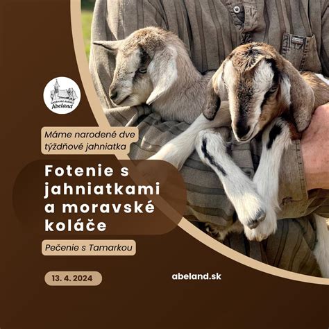 Obraz hrdého slovenského farmára s jahniatkami