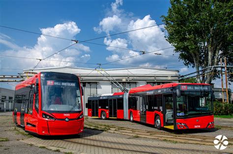 Obrázok cifruše bezkrídlej (električky)