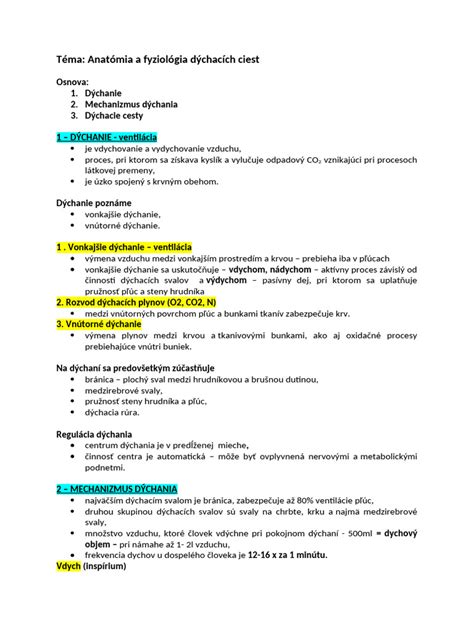 Ilustrácia dýchacích ciest s vyznačenými prieduškami