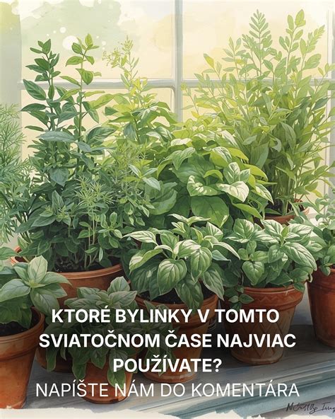 Bylinky ako náhrada soli