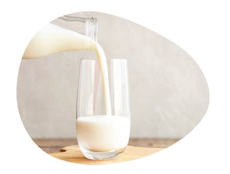 Ovčie mlieko zohrievané v hrnci