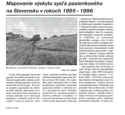 Ilustrácia sysľa pasienkového
