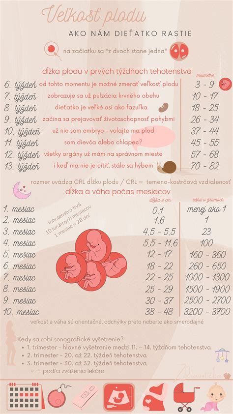 infografika o vývoji chutí plodu