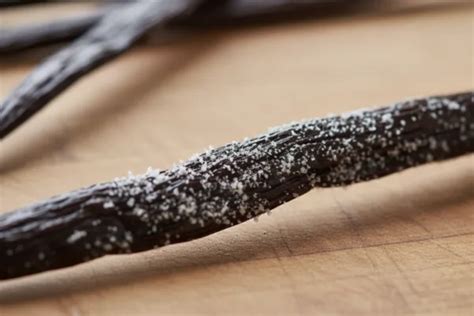 Ilustrácia vanilkového lusku