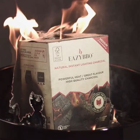 Porovnanie dreveného uhlia a grilovacích brikiet