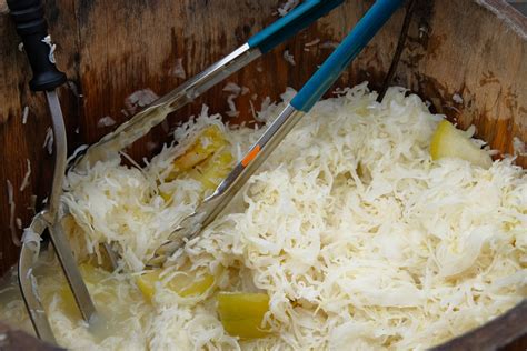 Proces kvasenia kapusty v súdku