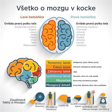 Infografika o zdraví mozgu