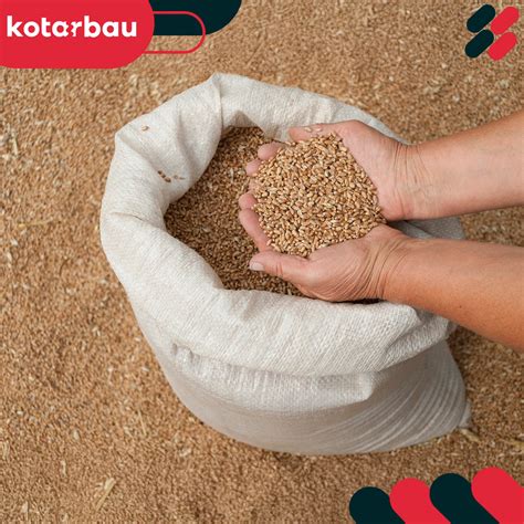 Ilustrácia rôznych druhov mlynských výrobkov z obilia