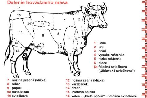 Schéma procesu topenia hovädzieho loja