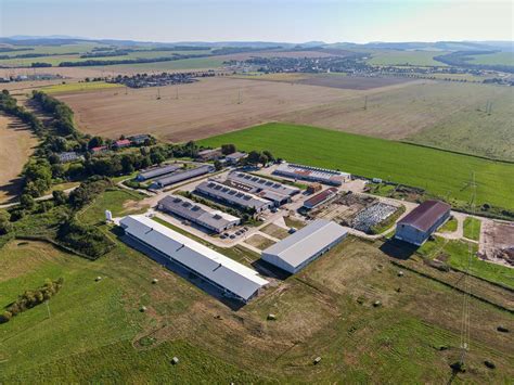 Farma s kuratami vo voľnom výbehu