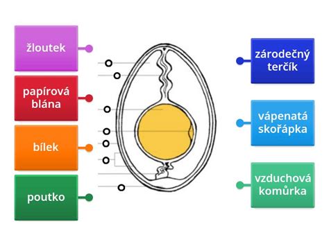 Nákres správneho postupu varenia zelnáčky