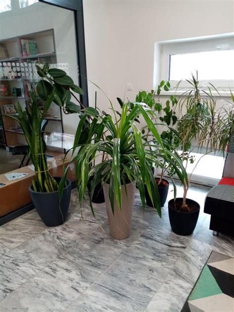 Zelený kútik pri škole