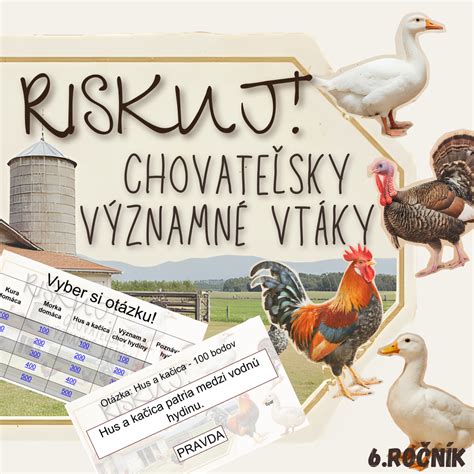 Ilustrácia rôznych druhov pečenej hydiny a ich častí