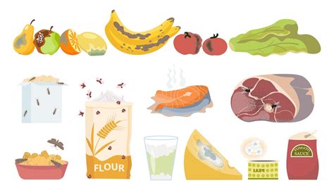 Ilustrácia baktérií na surovom mäse